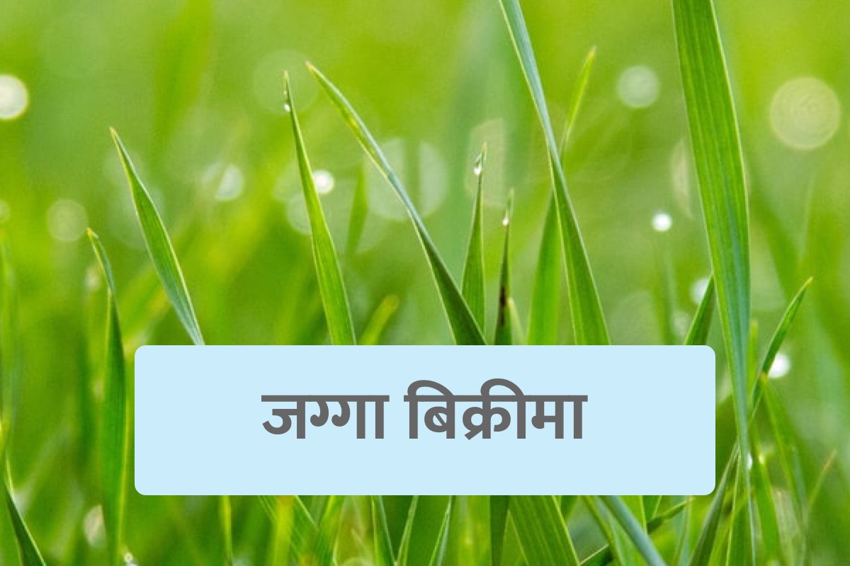 Picture of Budhanilkantha Municipality, Bagmati Province